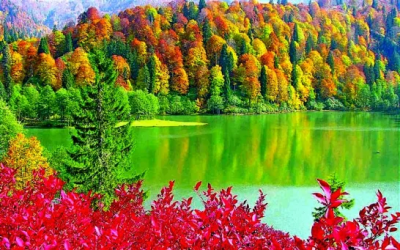 Bir Bölge İki Ülke Turu