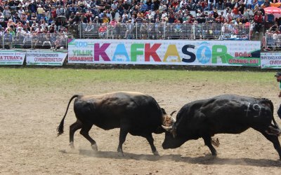 DOĞU KARADENİZ VE BATUM TURU - KAFKASÖR FESTİVAL TURU