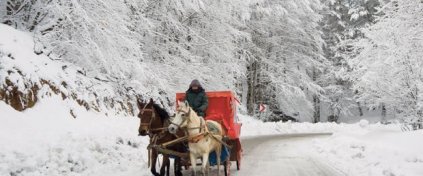 Çoruh Outdoor Travel & Tour  22.Yıllık Deneyim - | Gürcistan, Azerbaycan ve İran Turlari konusunda uzmanlık ister.