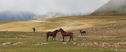 Çoruh Outdoor Travel & Tour  22.Yıllık Deneyim - | Gürcistan, Azerbaycan ve İran Turlari konusunda uzmanlık ister.