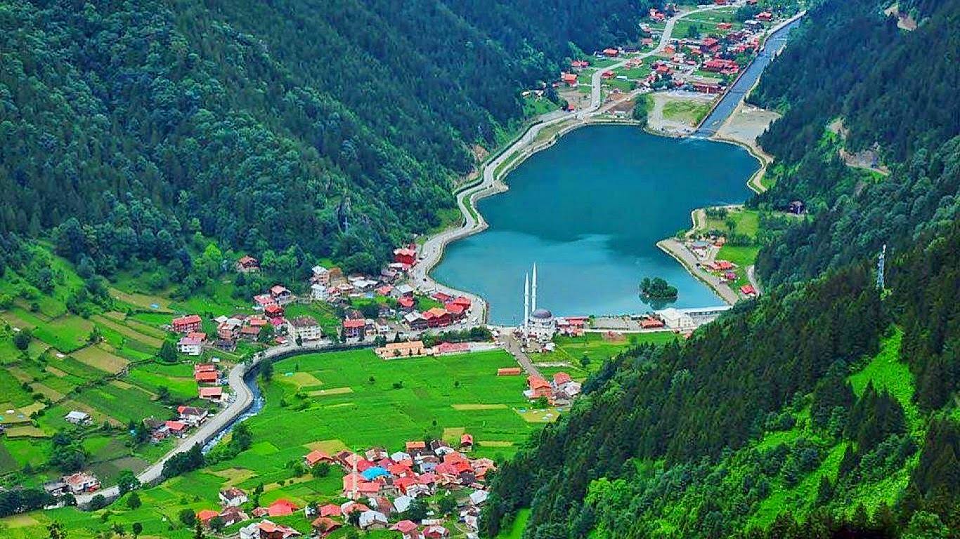 uzungol29